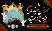 اعلام عزای عمومی در استان فارس