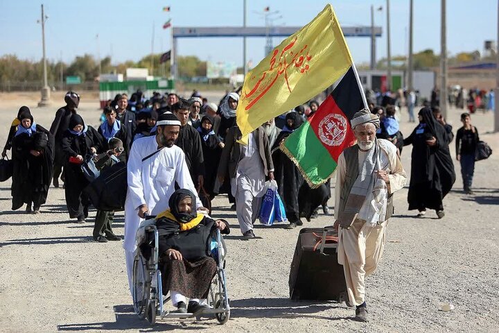 نرخ تولد اتباع خارجی در قم طبیعی است