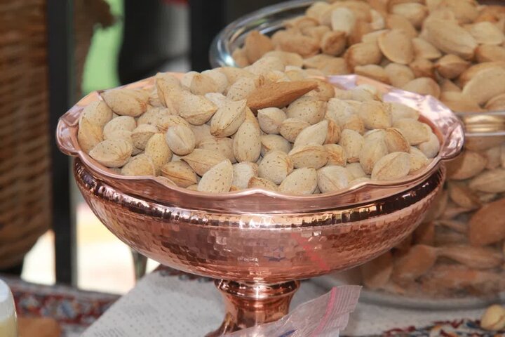 گزارش تصویری سفر معاون هماهنگی امور اقتصادی وزارت کشور به استان چهارمحال و بختیاری