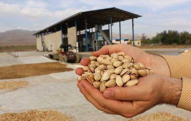 آمادگی استان سمنان برای پذیرش سرمایه گذاران در حوزه فرآوری پسته