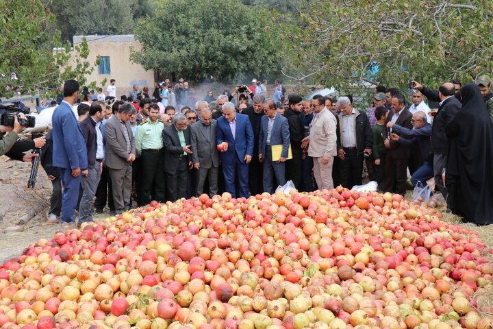 جشنواره شکرانه برداشت انار در روستای انبوه رودبار برگزار شد