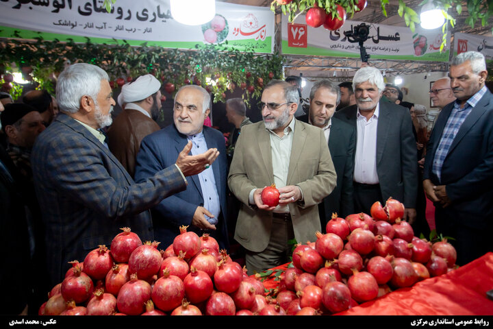 دومین جشنواره ملی تولید و صادرات انار ساوه