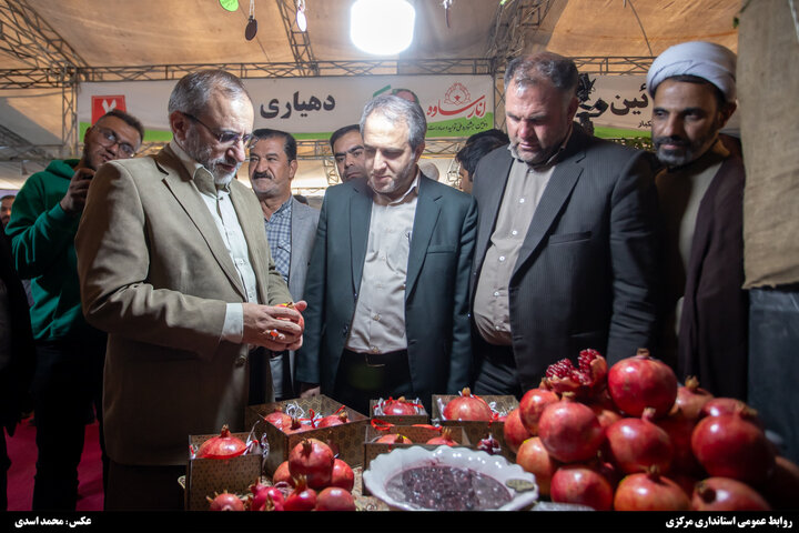 دومین جشنواره ملی تولید و صادرات انار ساوه