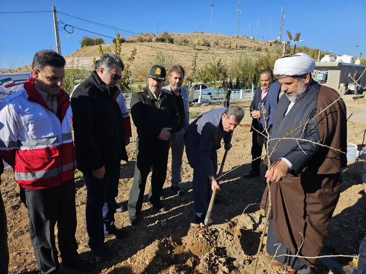 گزارش تصویری/درختکاری در بام نهاوند با حضور فرماندار