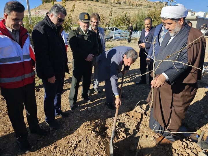 گزارش تصویری/درختکاری در بام نهاوند با حضور فرماندار