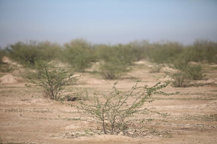 خوزستان