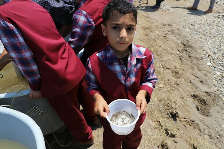 مراسم رهاسازی بچه ماهیان در پنج استان کشوربا حضور استاندار گیلان