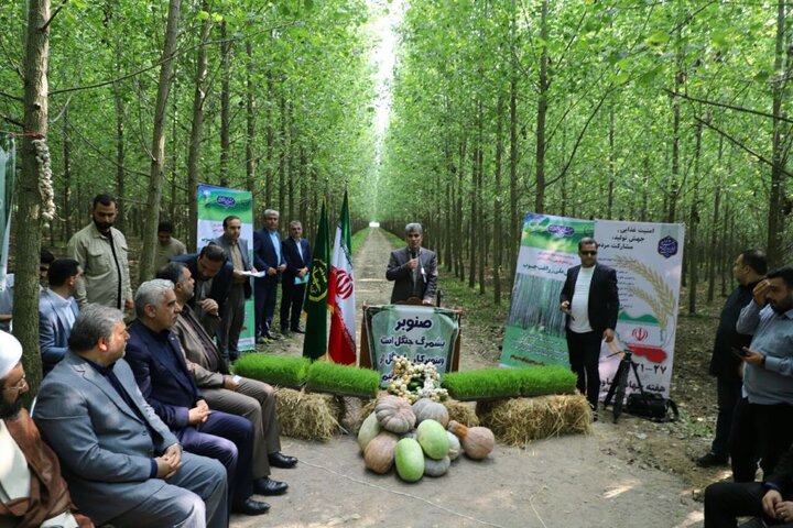 همایش ملی زراعت چوب در صومعه سرا با حضور استاندار گیلان