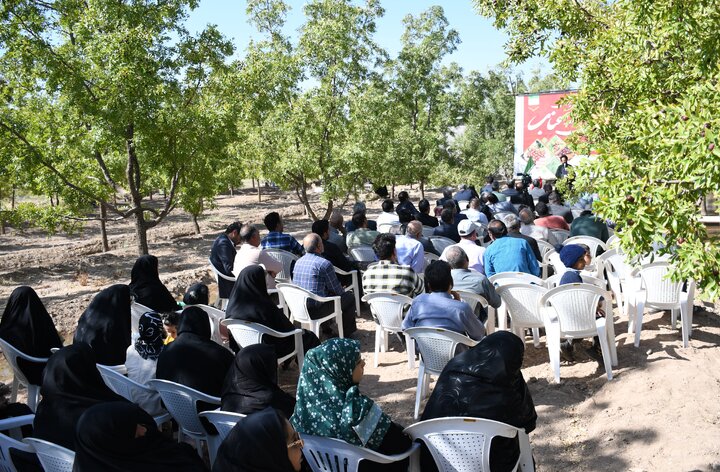 آین شکرگزاری برداشت عناب در روستای سیوجان شهرستان خوسف