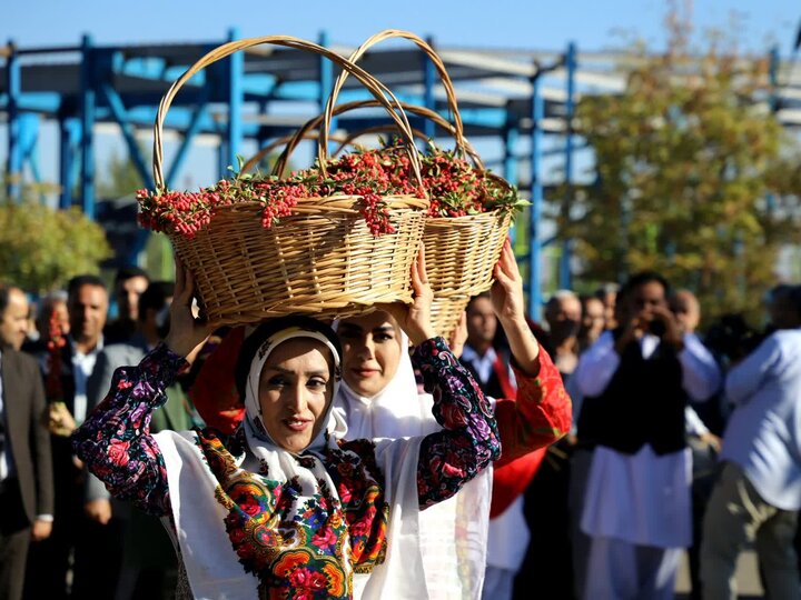 جشنواره ملی زرشک و زعفران در قاینات