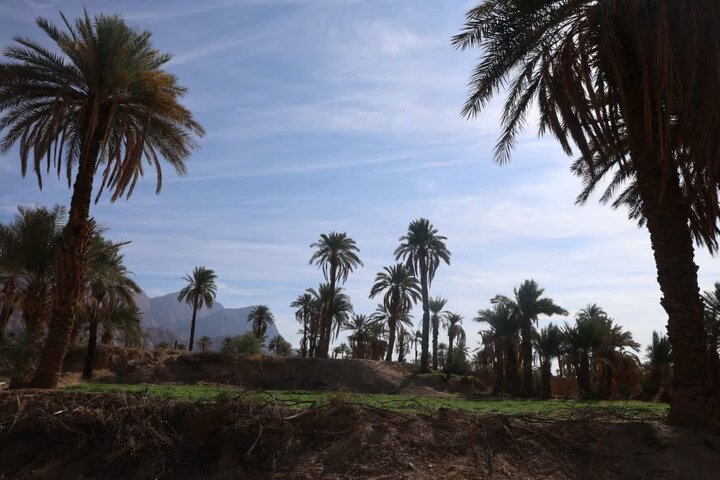 اعلام رسمی ثبت جهانی شدن روستای اصفهک طبس