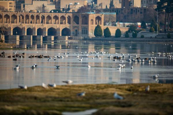 زاینده‌رود جاری می‌شود